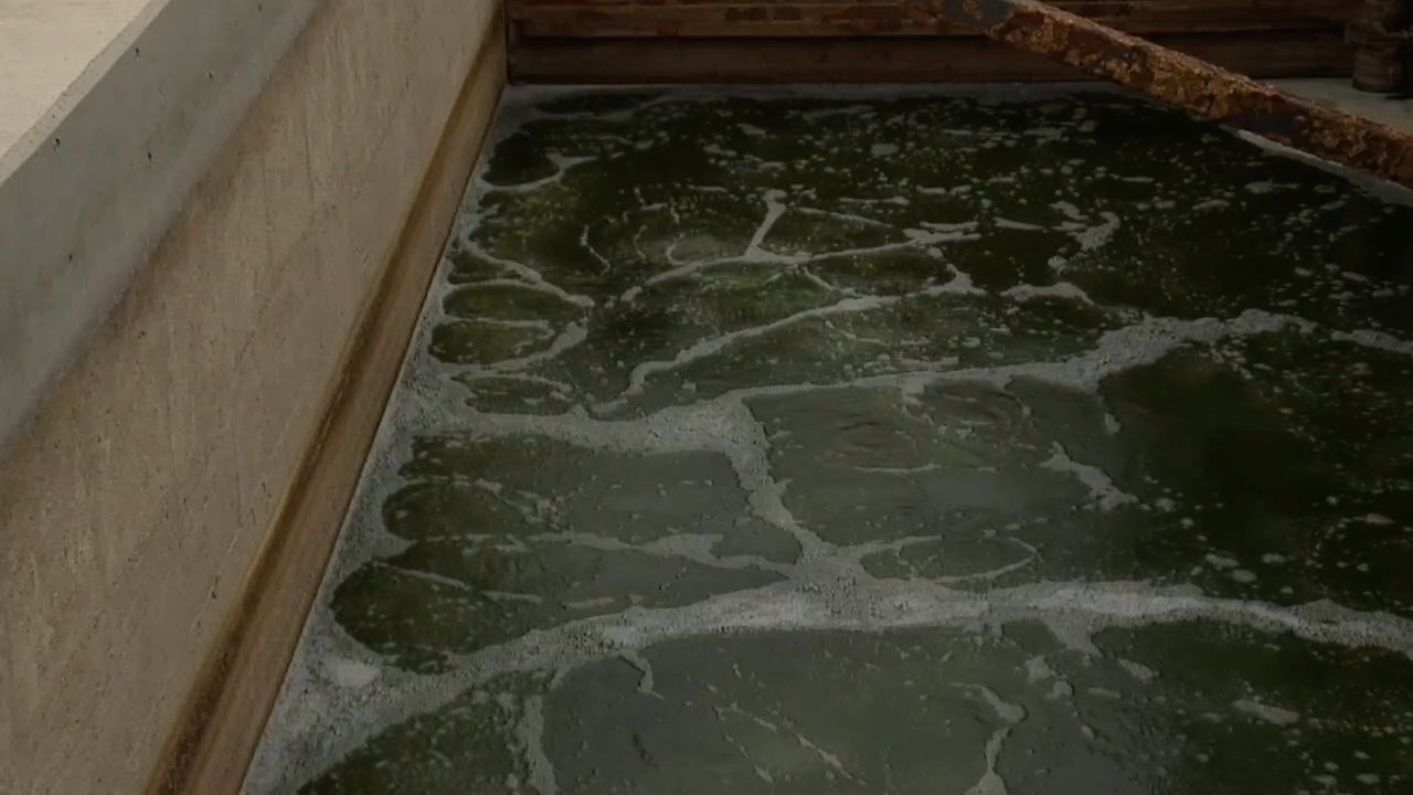wastewater testing for COVID-19.jpg