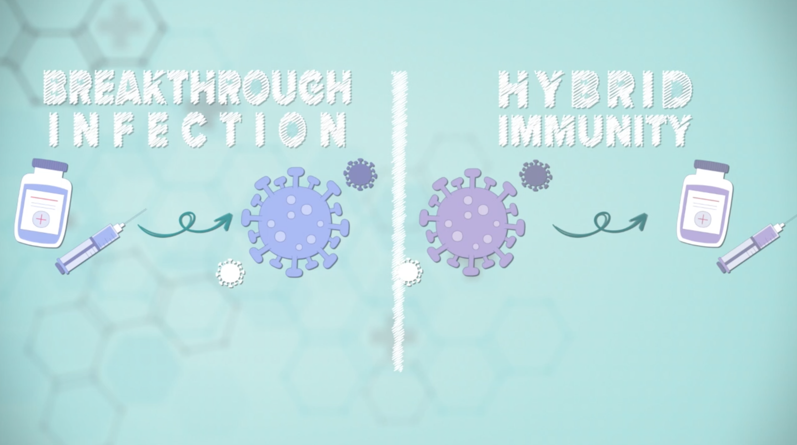 Breakthrough Infection vs Hybrid Immunity
