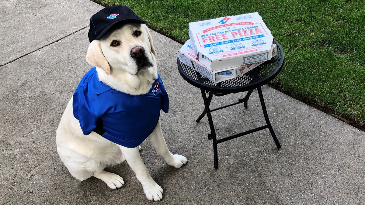 Dominos Dog.jpeg