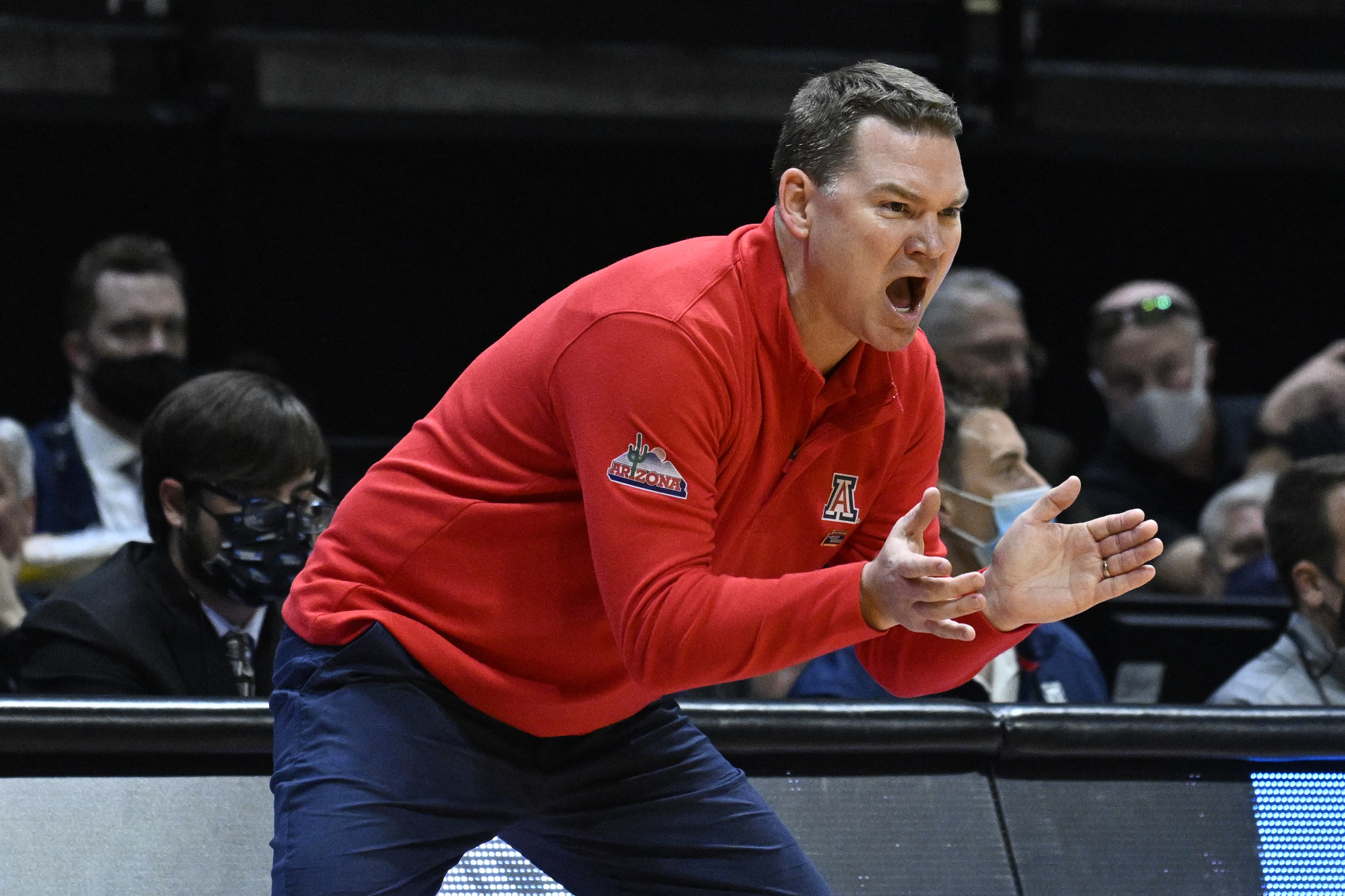 Arizona's Tommy Lloyd has been named The Associated Press men's basketball coach of the year after leading the Wildcats to the Sweet 16 in his first season. 