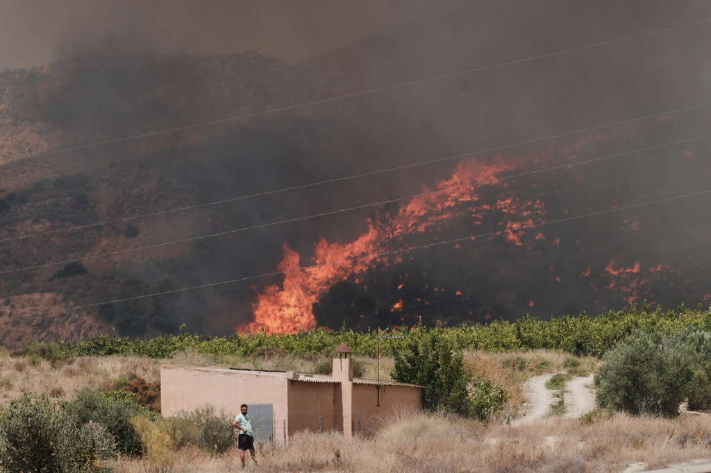 A wildfire rages in Alfajir, near Almeria in southeastern Spain, Friday, July 10, 2026. 