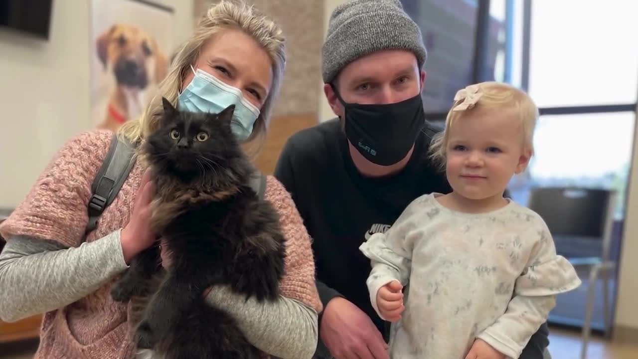 Maclean-Cameron Animal Adoption Center