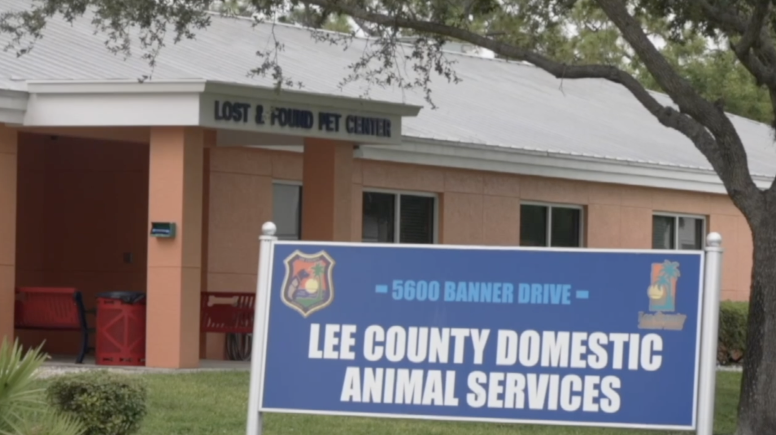 Lee County animal advocates propose $6 annual tax to fund spay and neuter clinics
