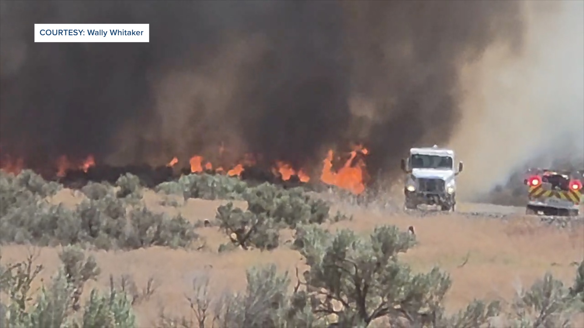 LYTLE FIRE thumbnail.jpg