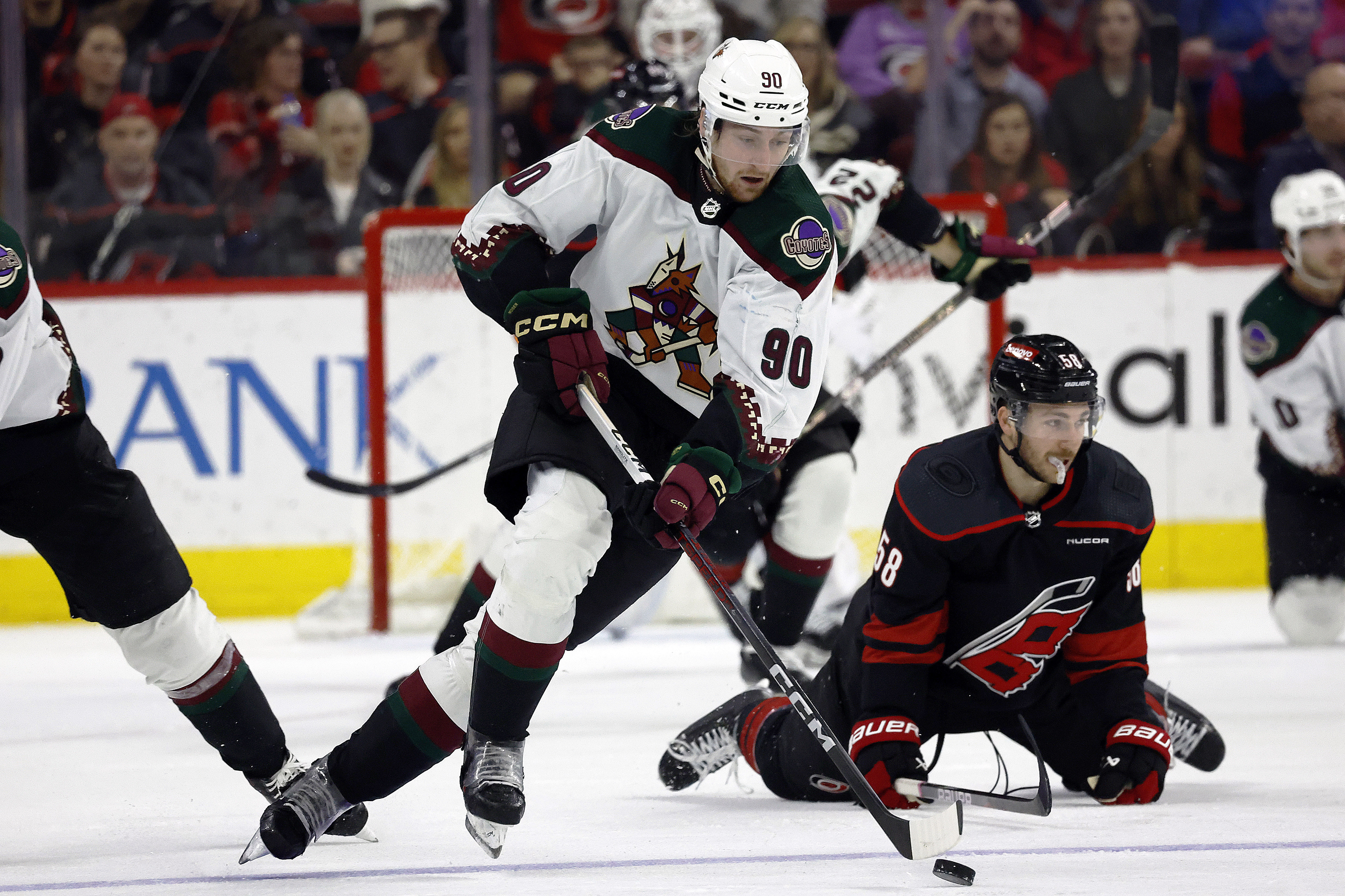 Coyotes Hurricanes Hockey