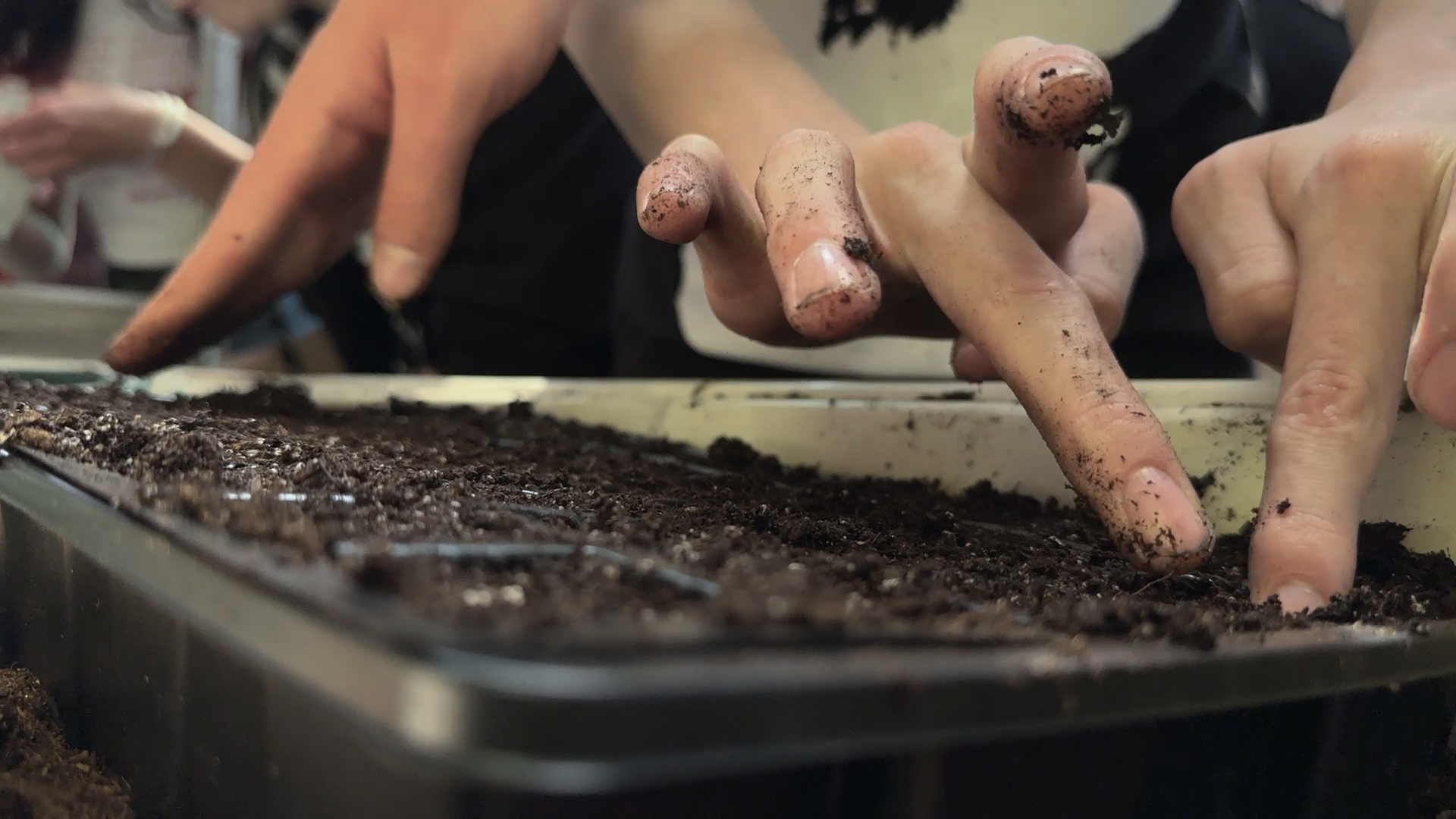 east high greenhouse restoration 