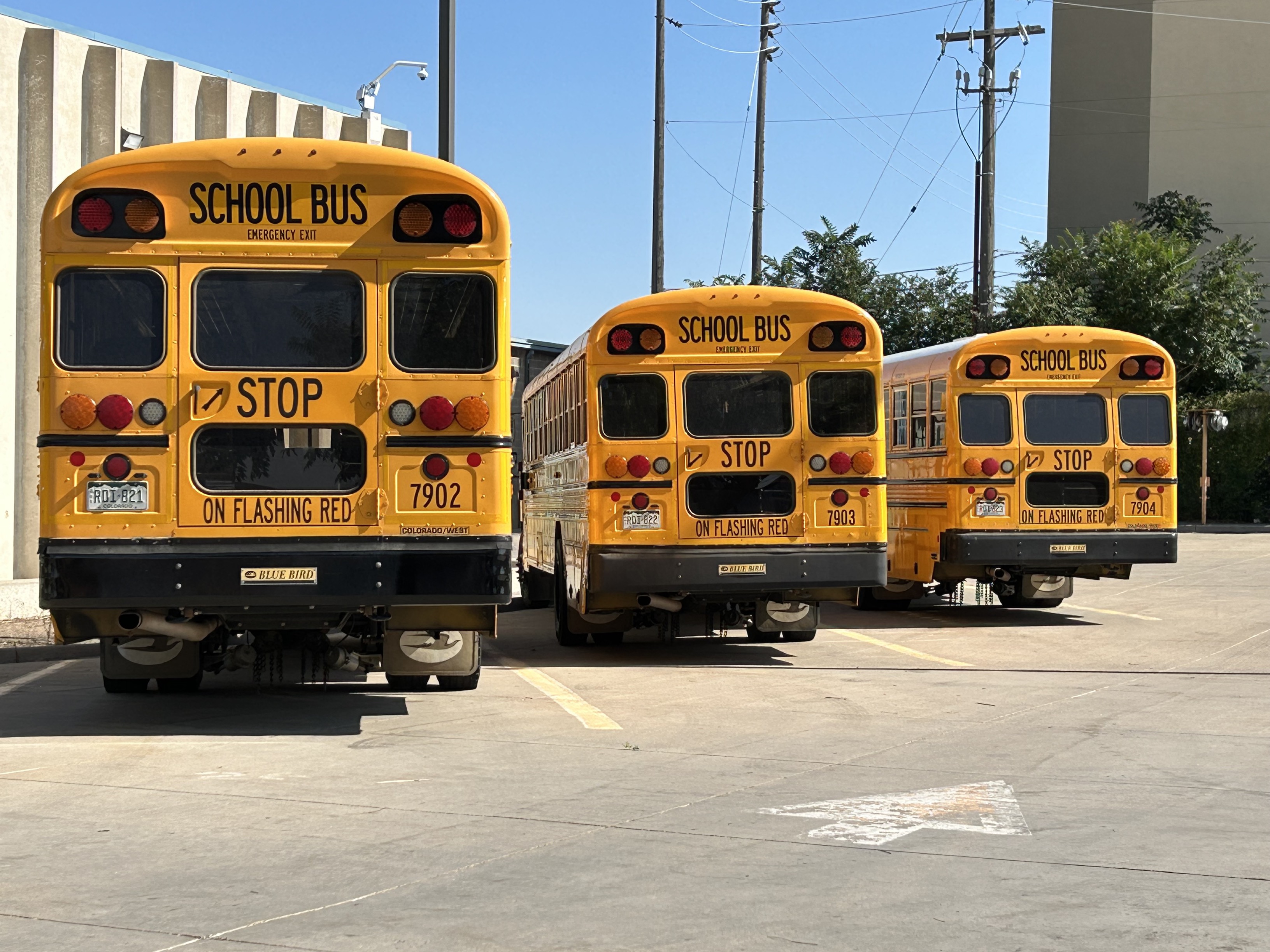 school bus
