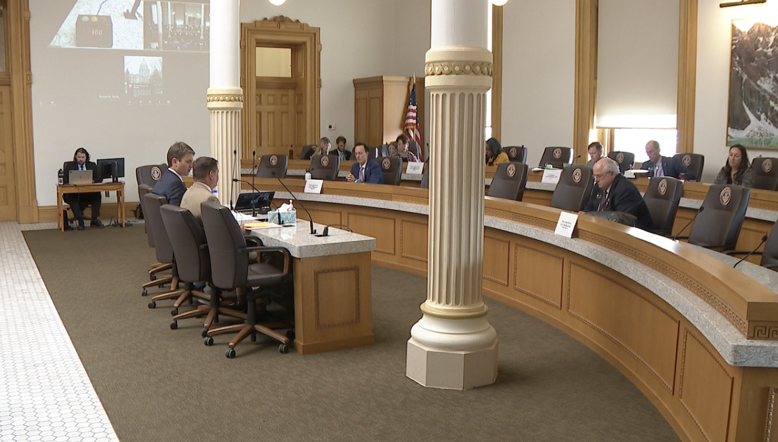 Fentanyl bill hearing