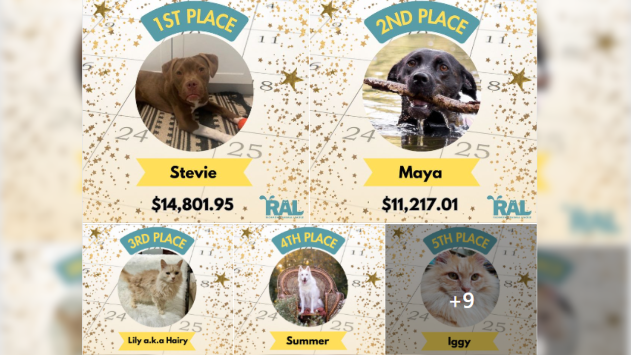 Richmond Animal League 