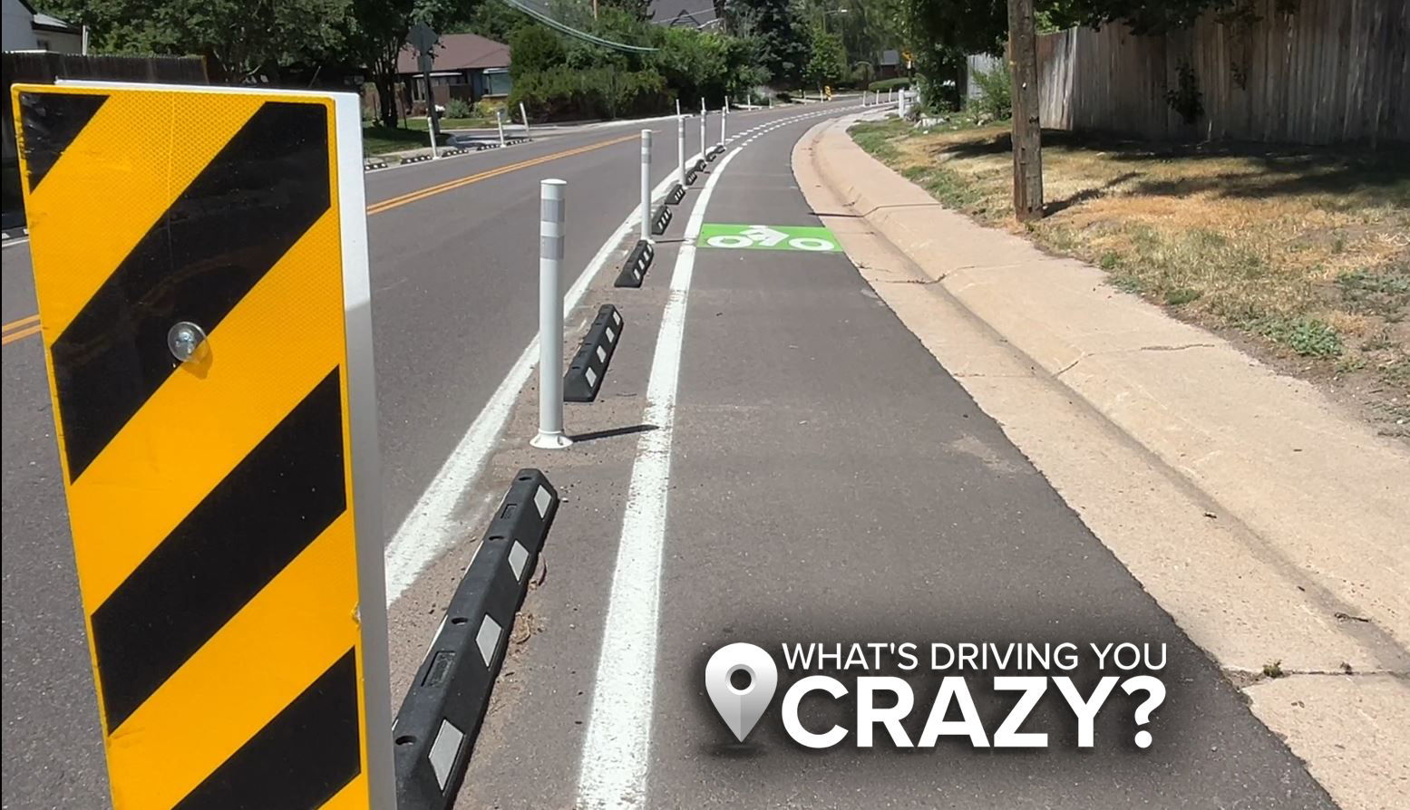 yale bike lane DYC.jpg