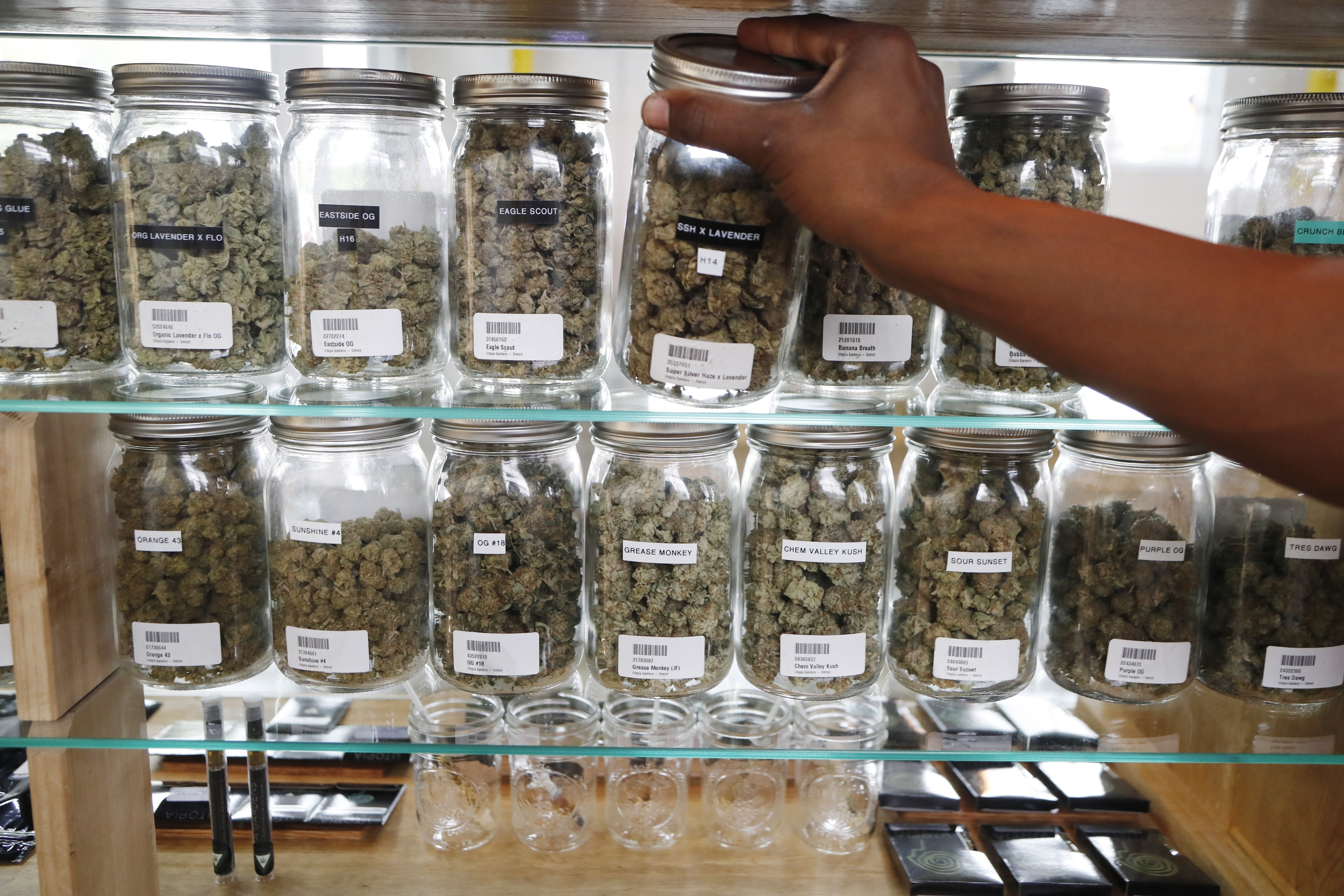 Medical marijuana dispensary