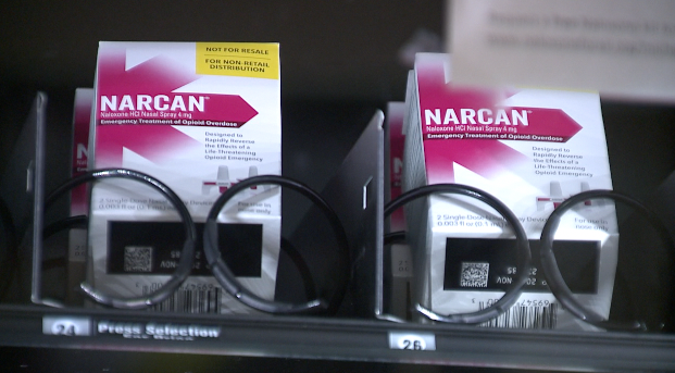 overdose deaths 1.png