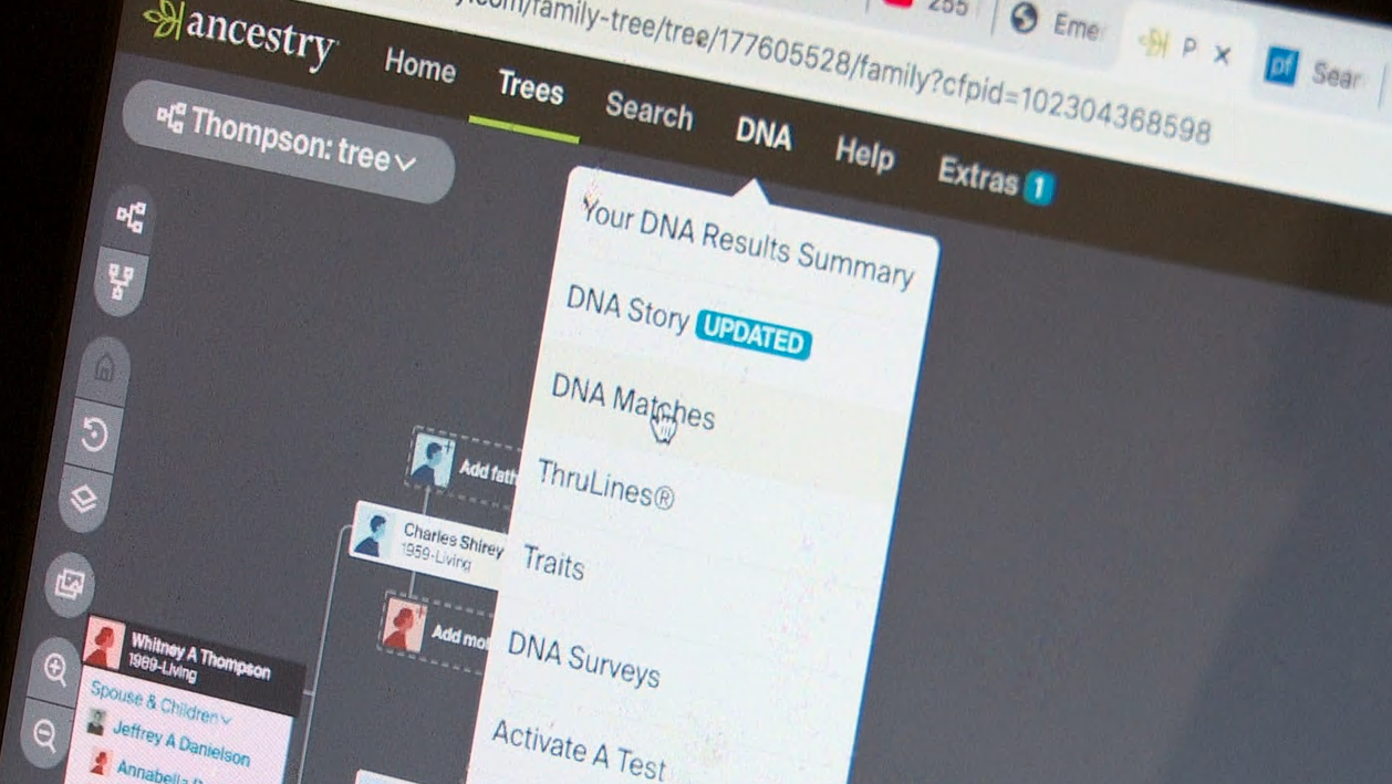 Ancestry.png