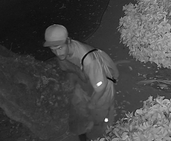 Hoffman Burglary Suspect -BPD