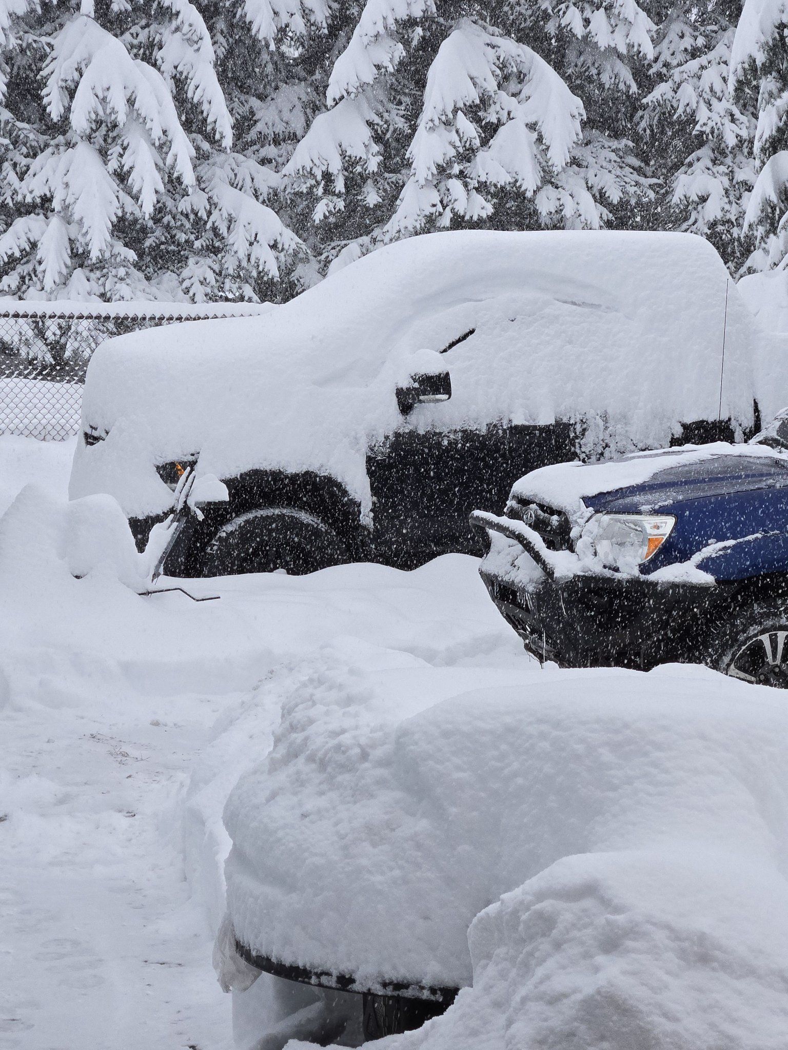 Jen Tanner coram.jpg