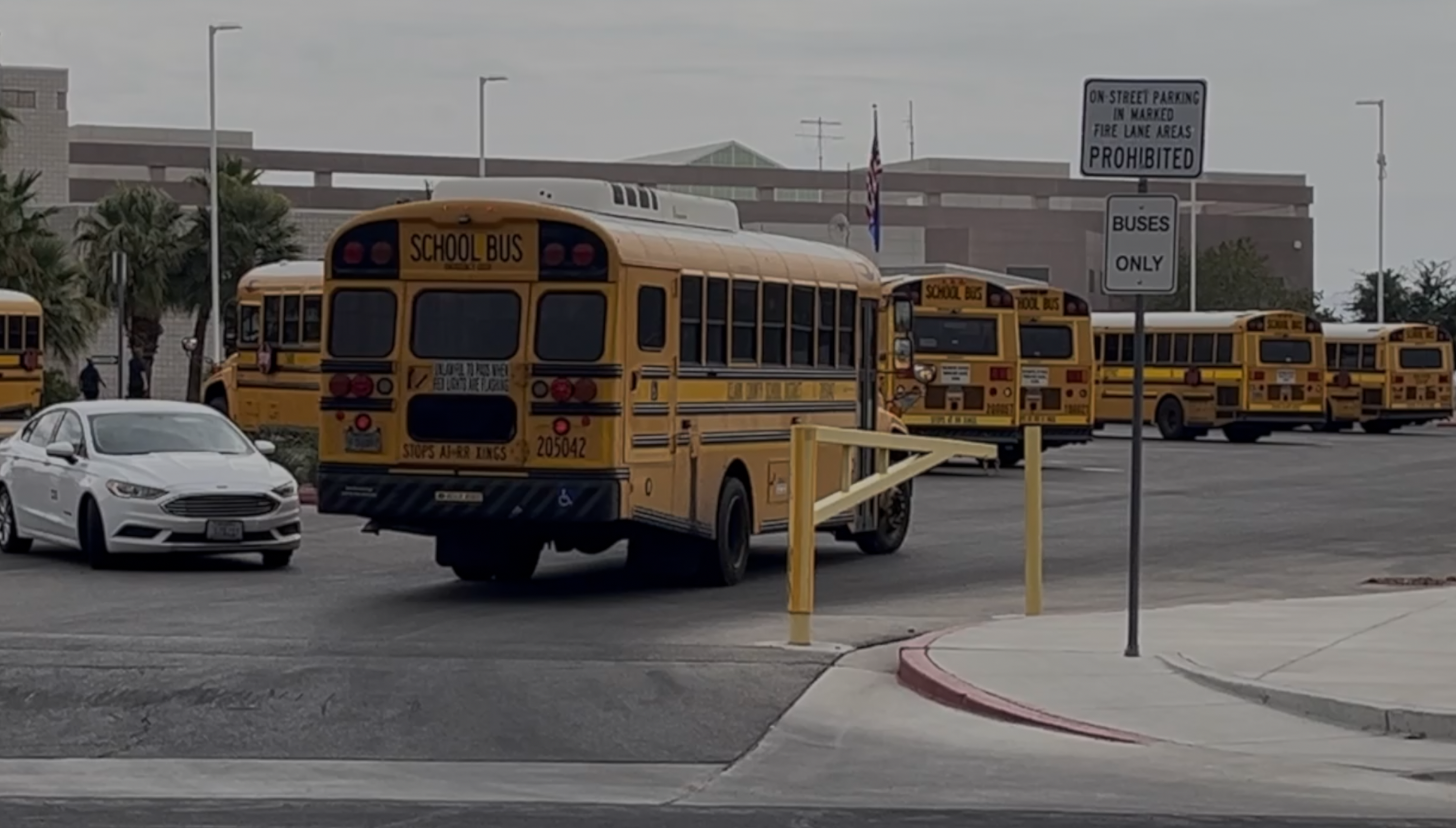 CCSD bus