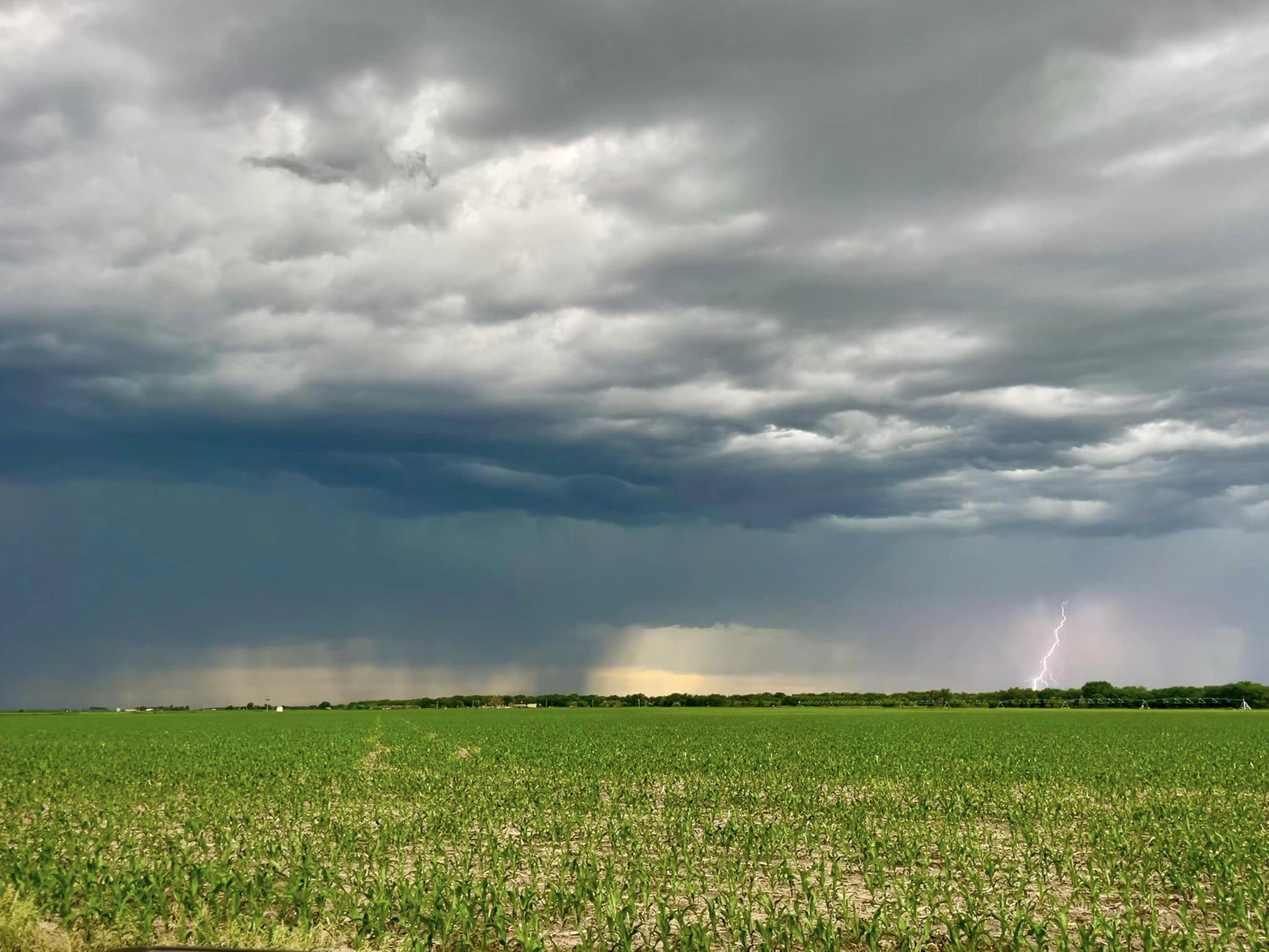 eastern plains storm dakota mcgee.jpg