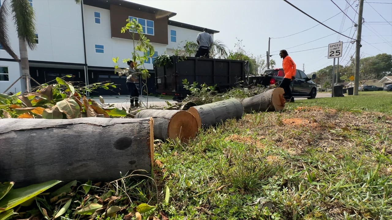 shore acres clean up.png