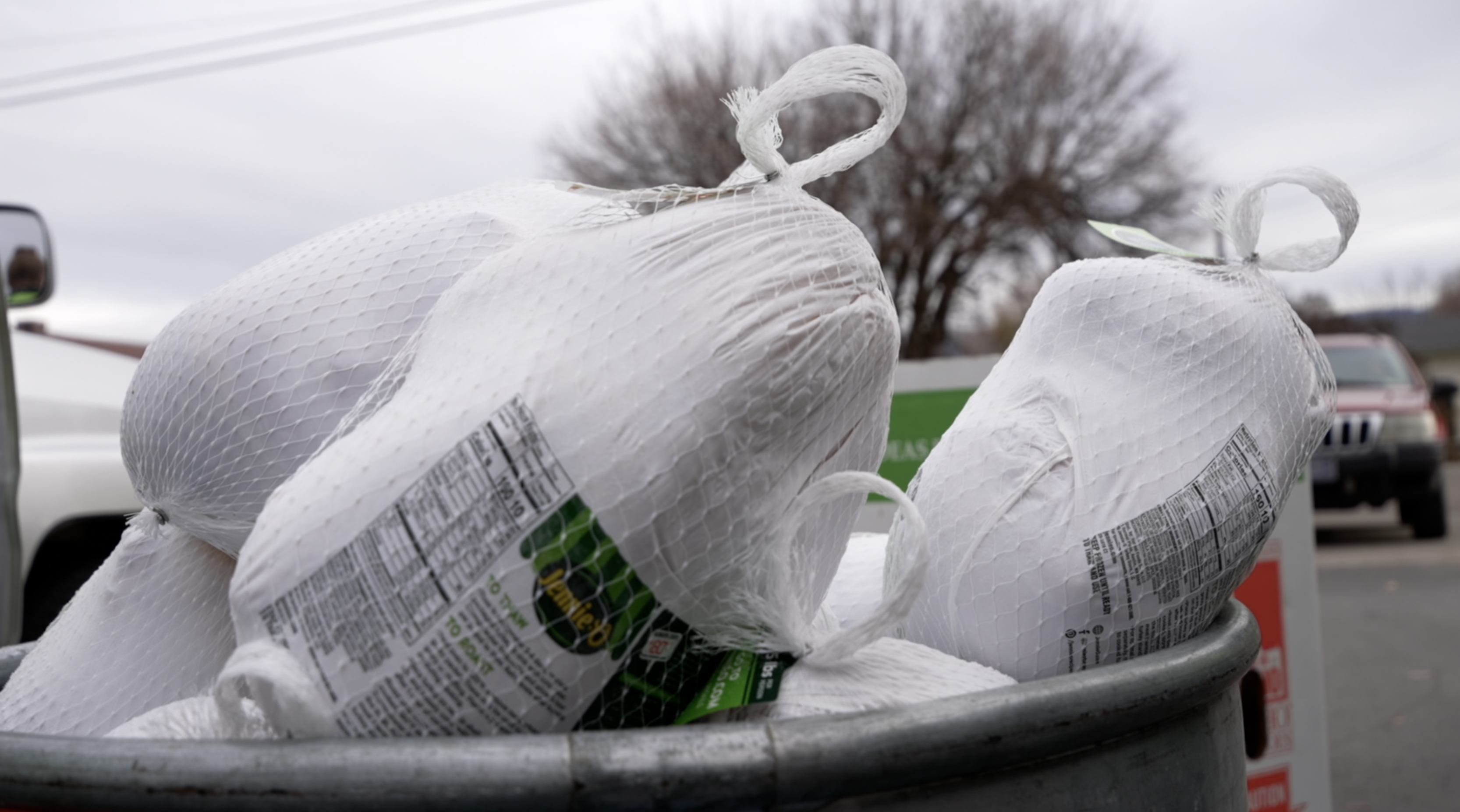 MFB Turkey Distribution 2025