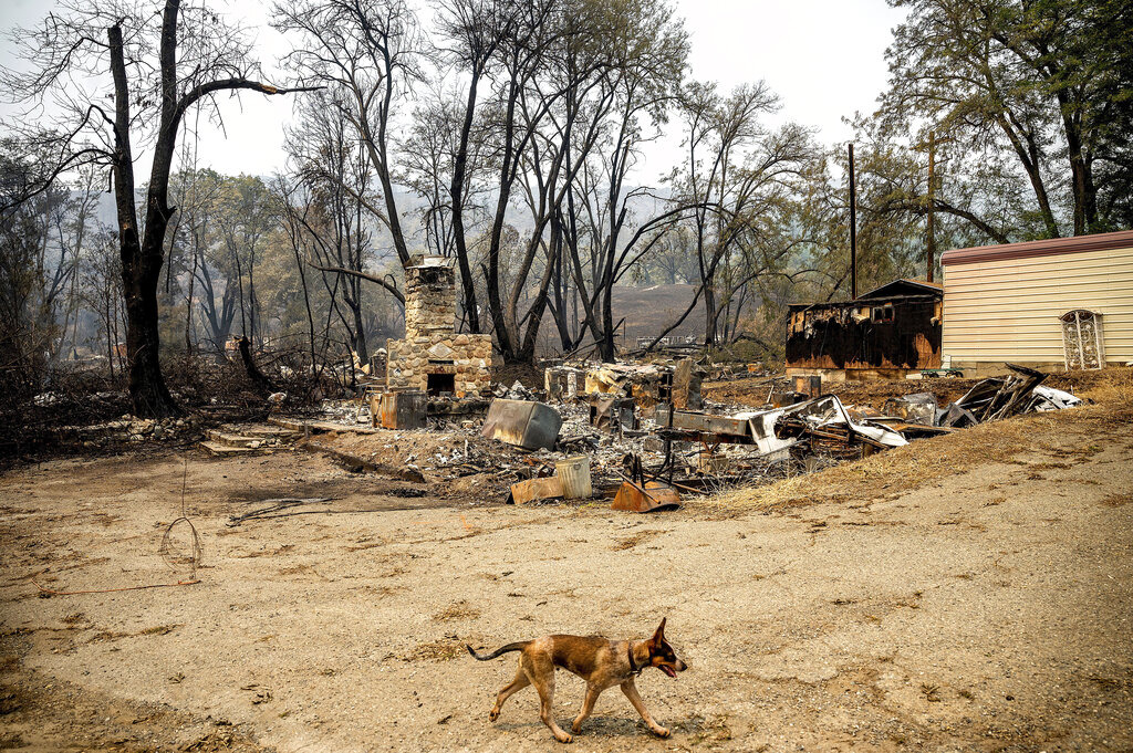 Western Wildfires