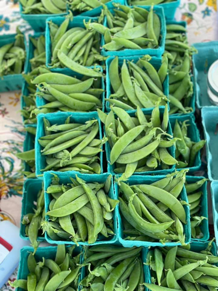 Green Beans.jpg