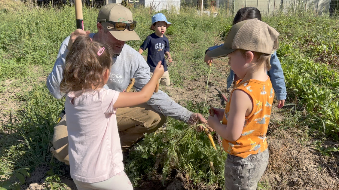 Global Gardens 