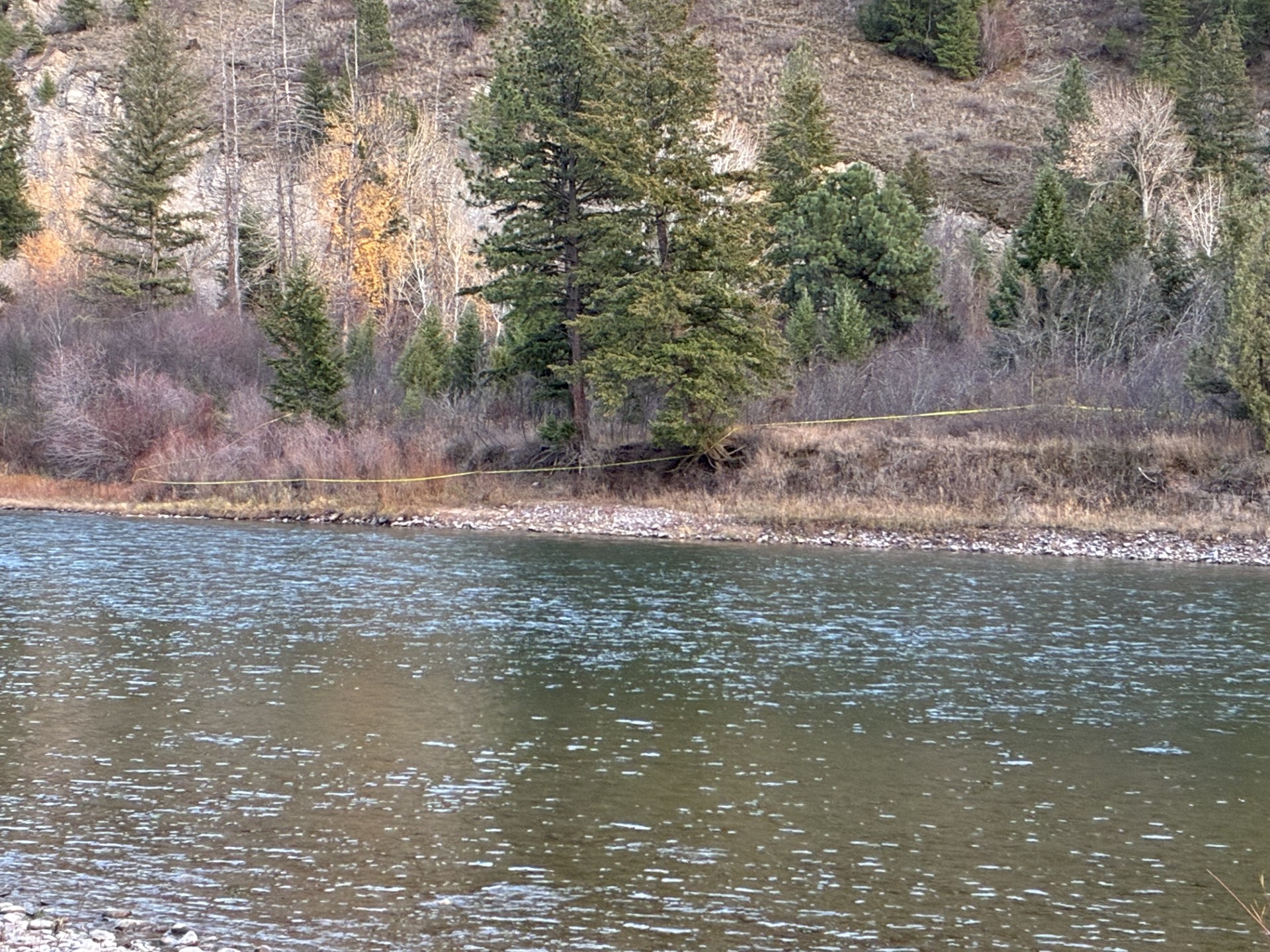 Police investigation.jpg