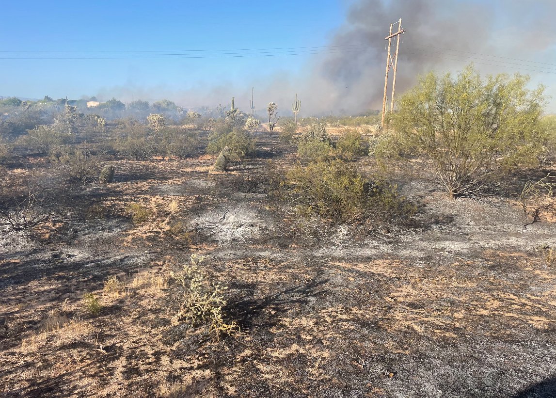 Dotbug Fire