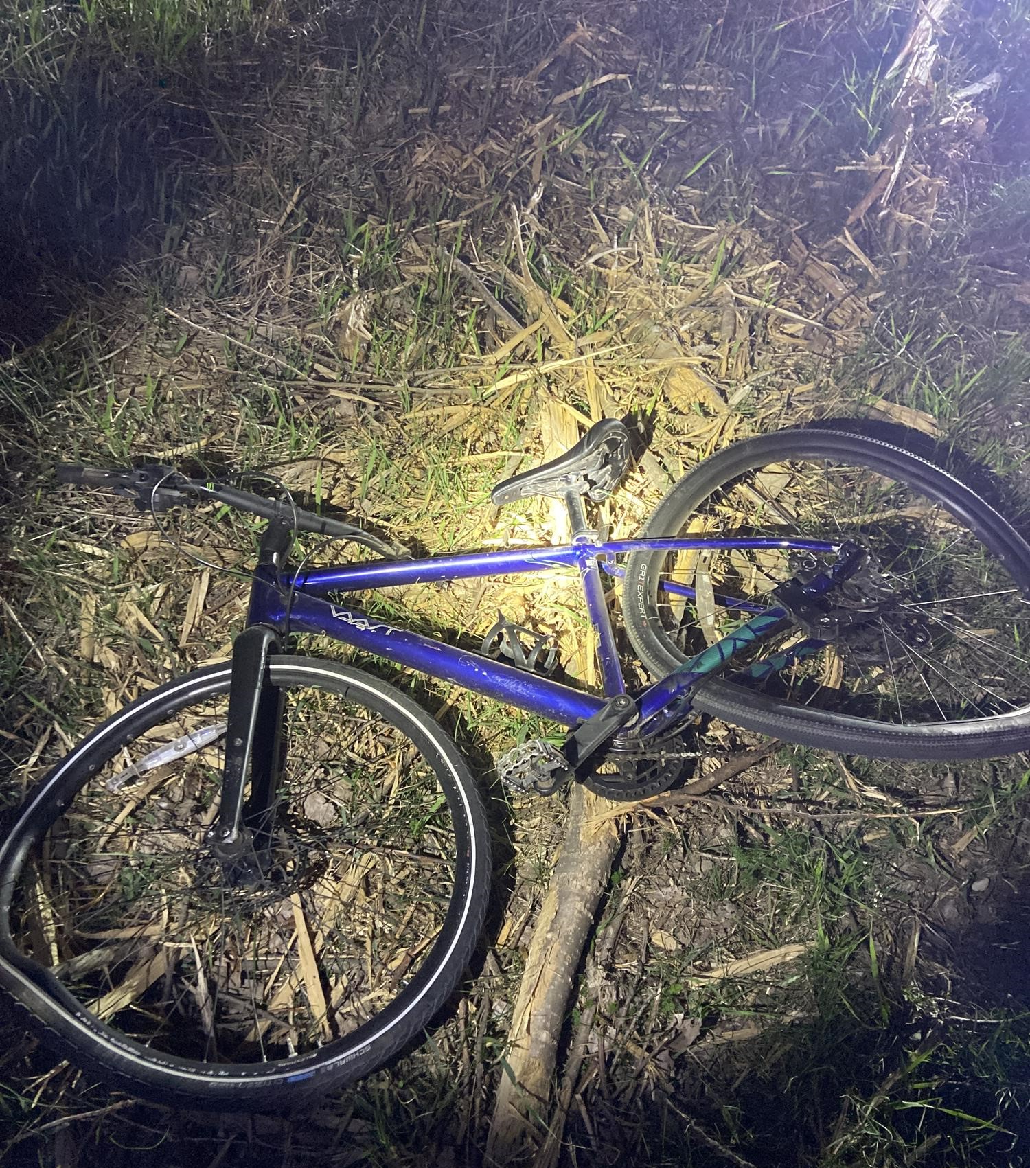 sparta township hit and run.jpg