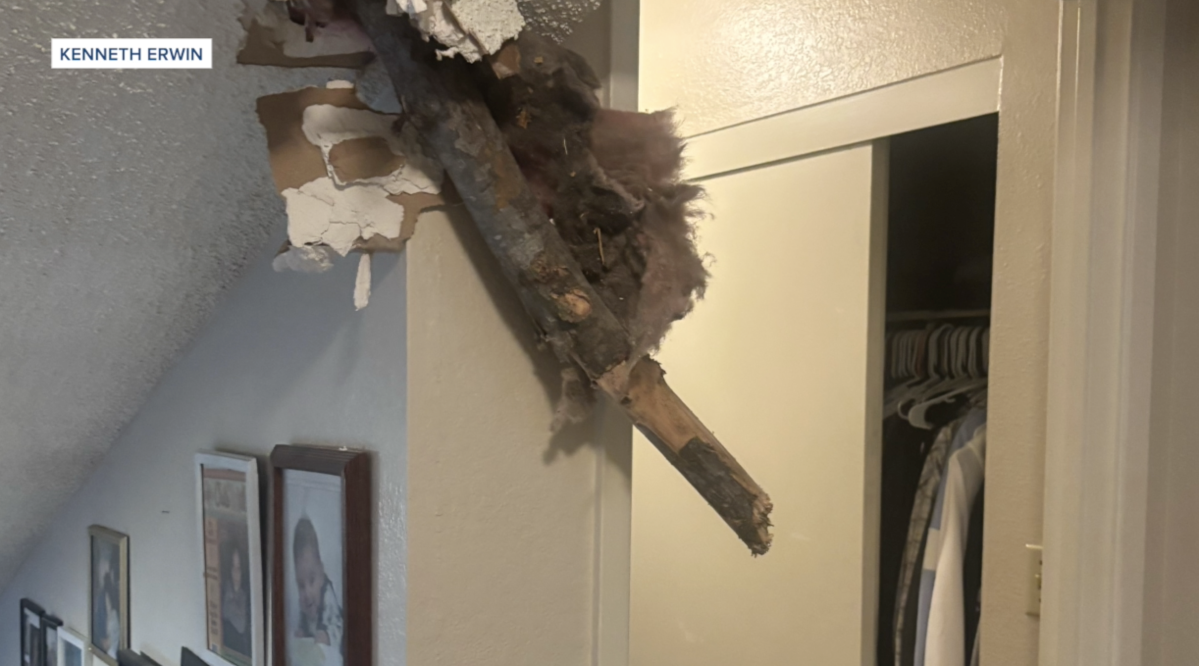 Spring Valley family narrowly escapes injury after massive tree crashes into home