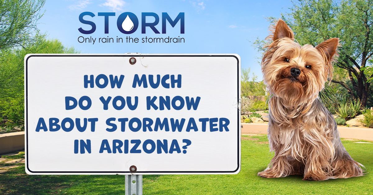 AZ Storm Quiz January 2025 