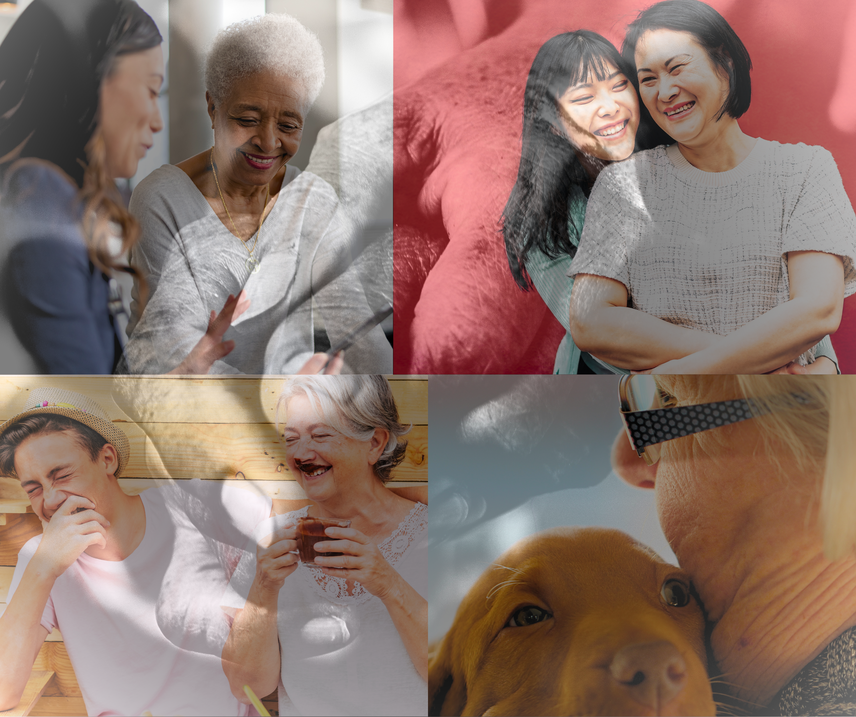 Hospice Care - Volunteer - Spend Time with Elderly.png