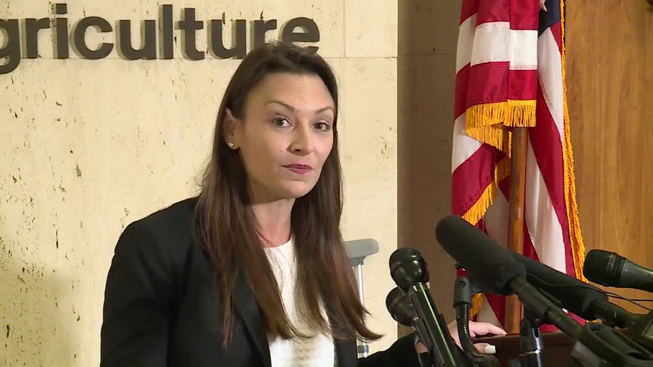 Nikki-Fried-discusses-allegations-of-corruption-03-04-21-WFTS.jpg