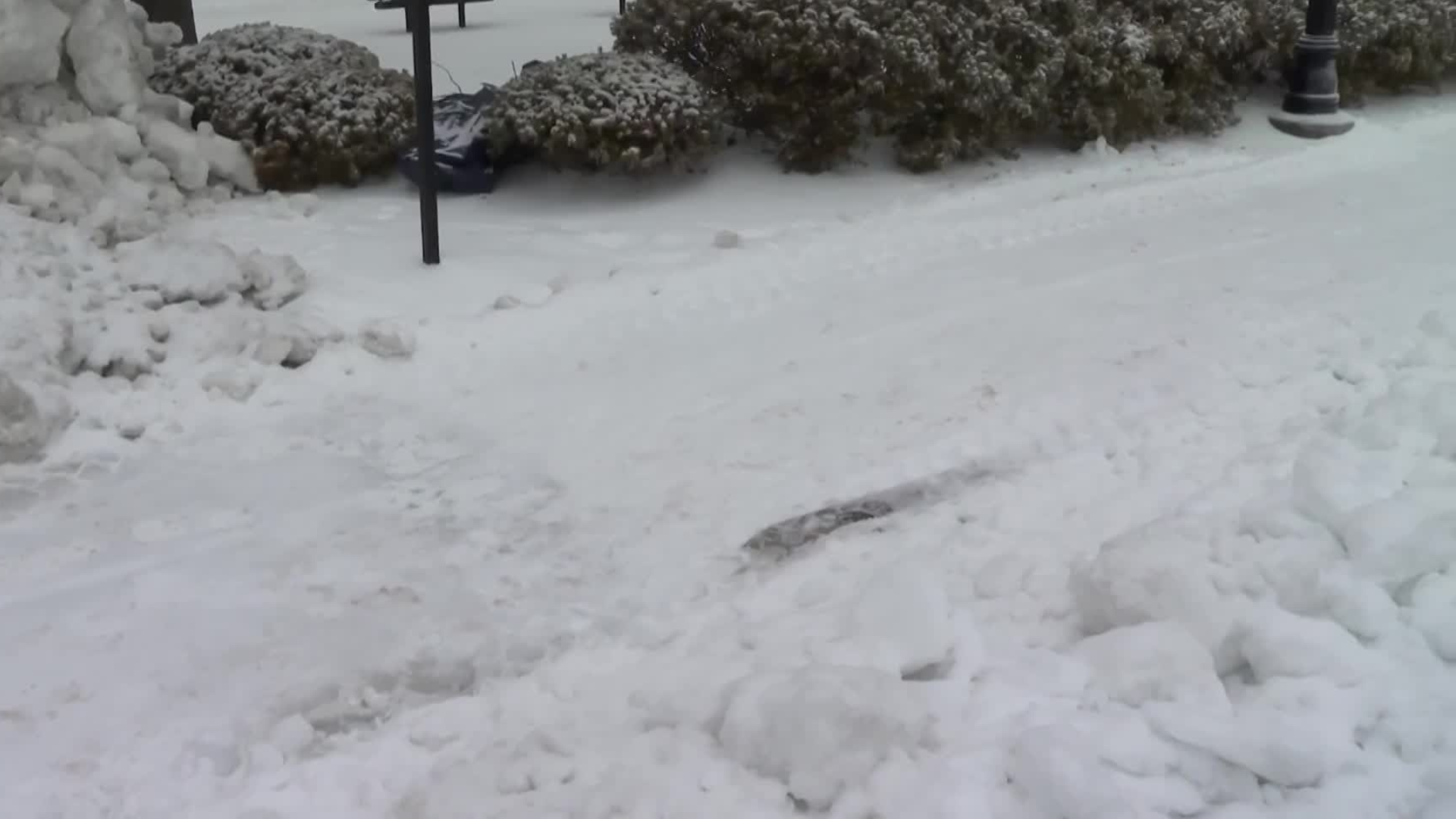 mugshot template  - 2026-01-26T122840.526.png