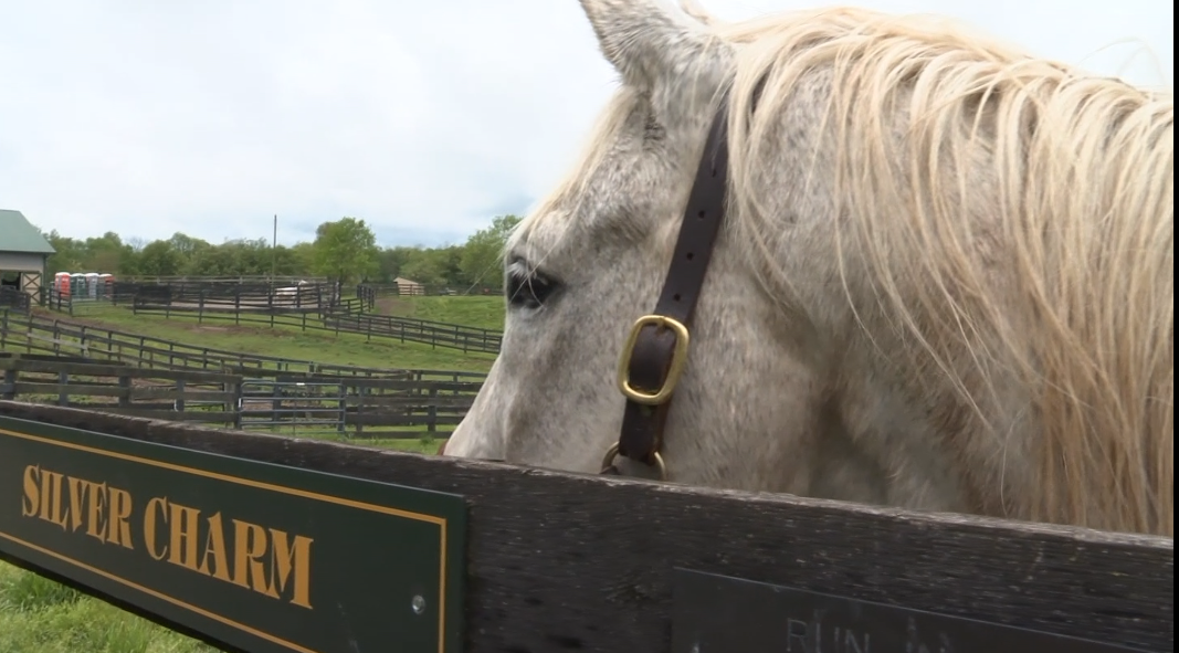 Silver Charm horse.png