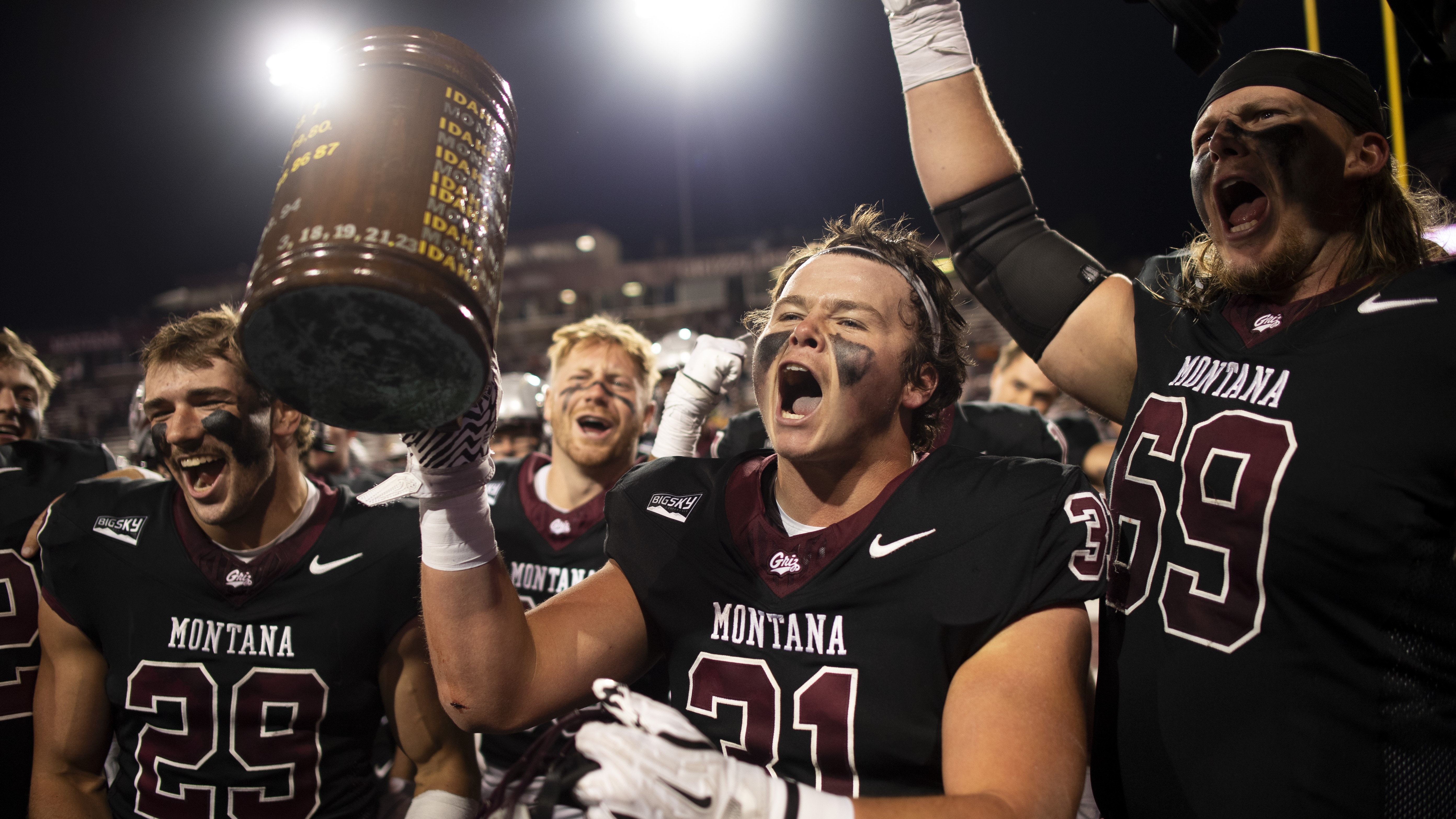 Montana Little Brown Stein