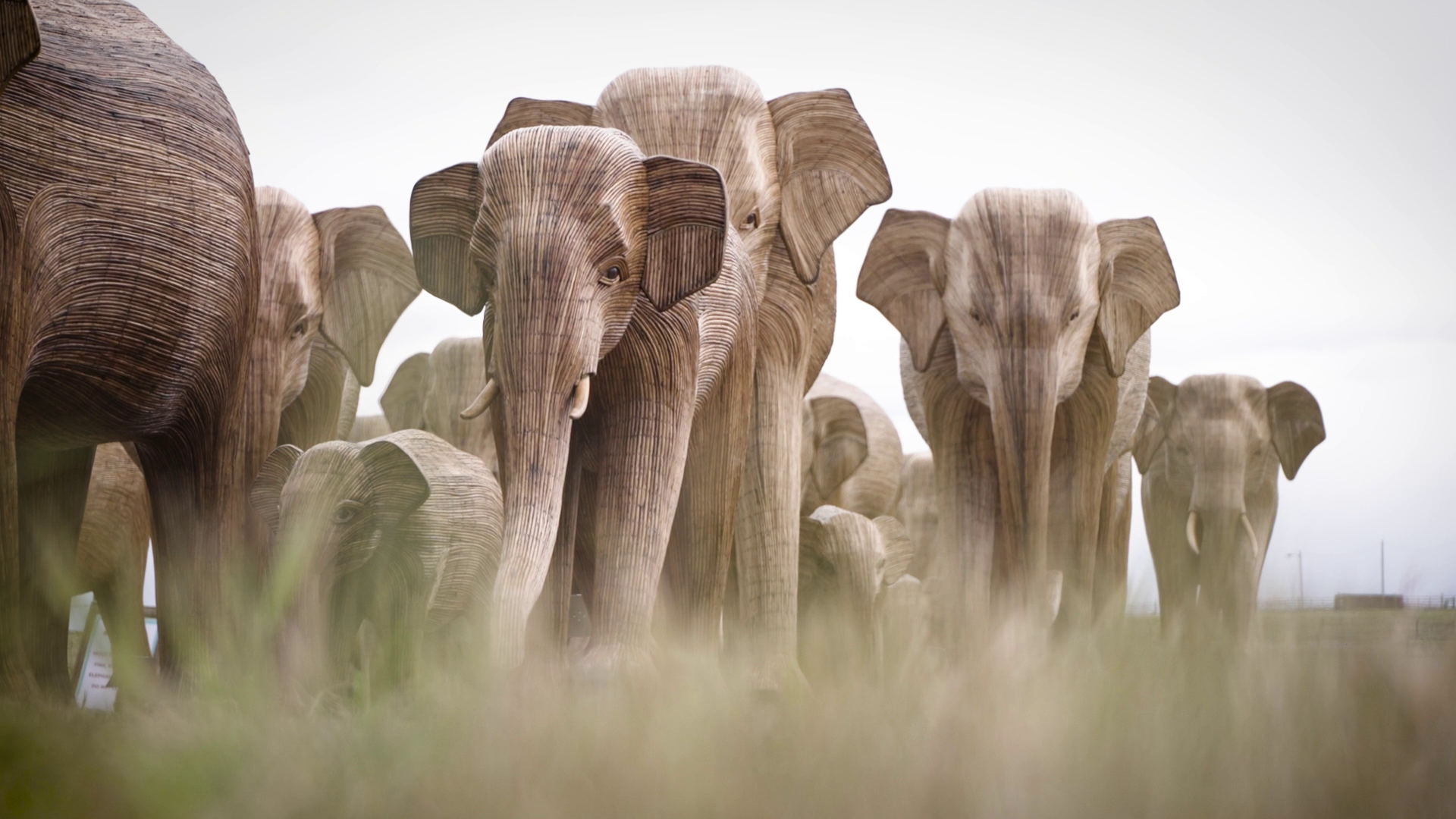 Elephant Migration sculptures spark conversations during Blackfeet Iinnii days