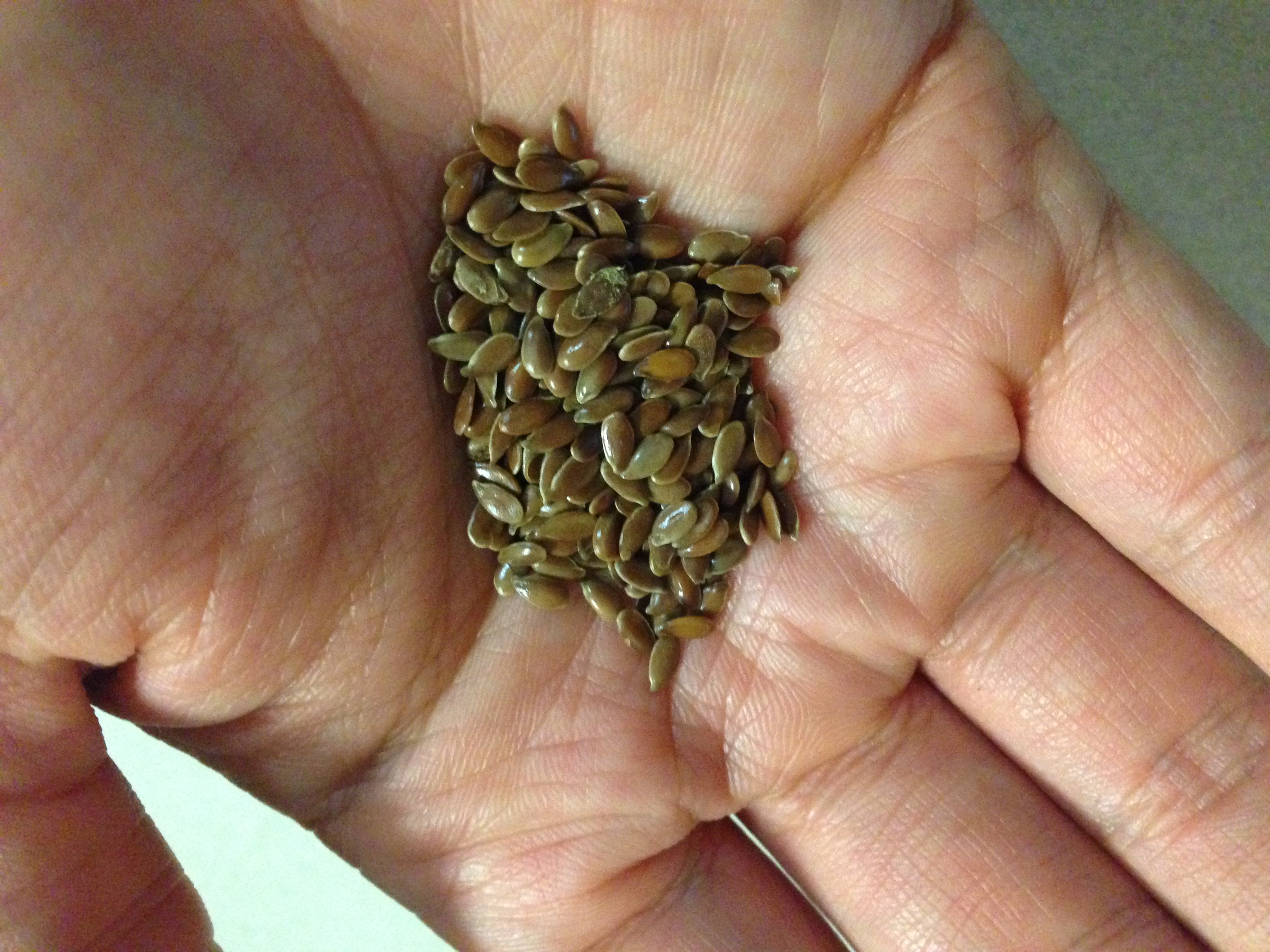 Flaxseed