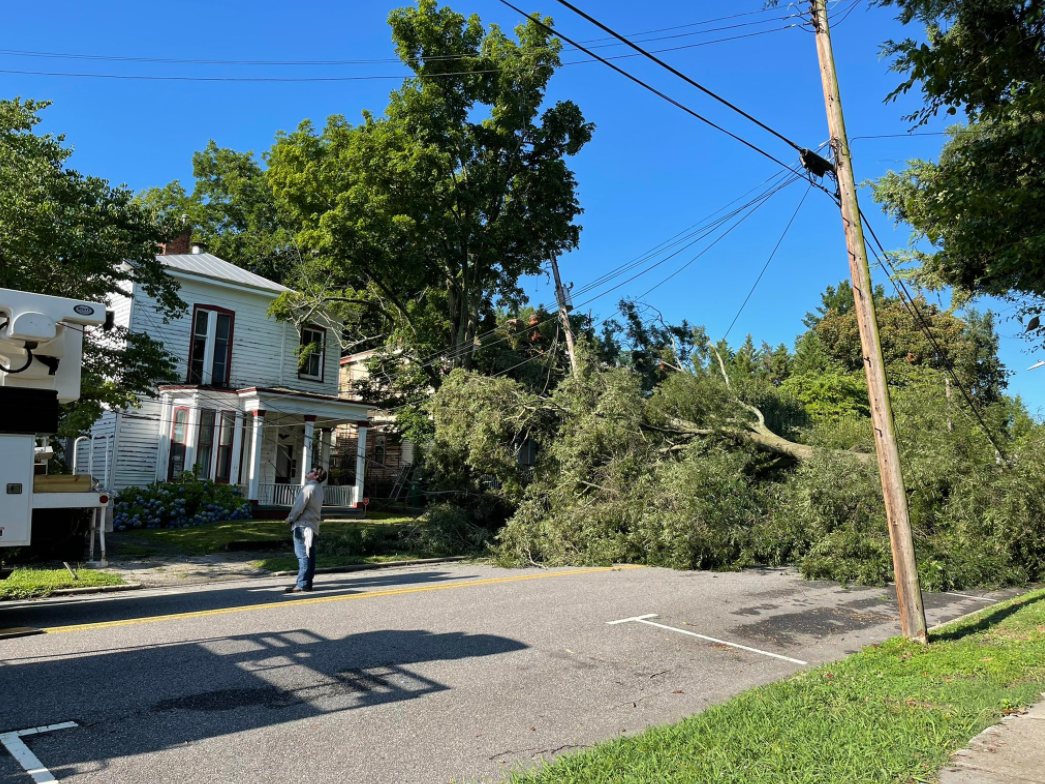 Petersburg Tree Down Elsa Franklin Street.png