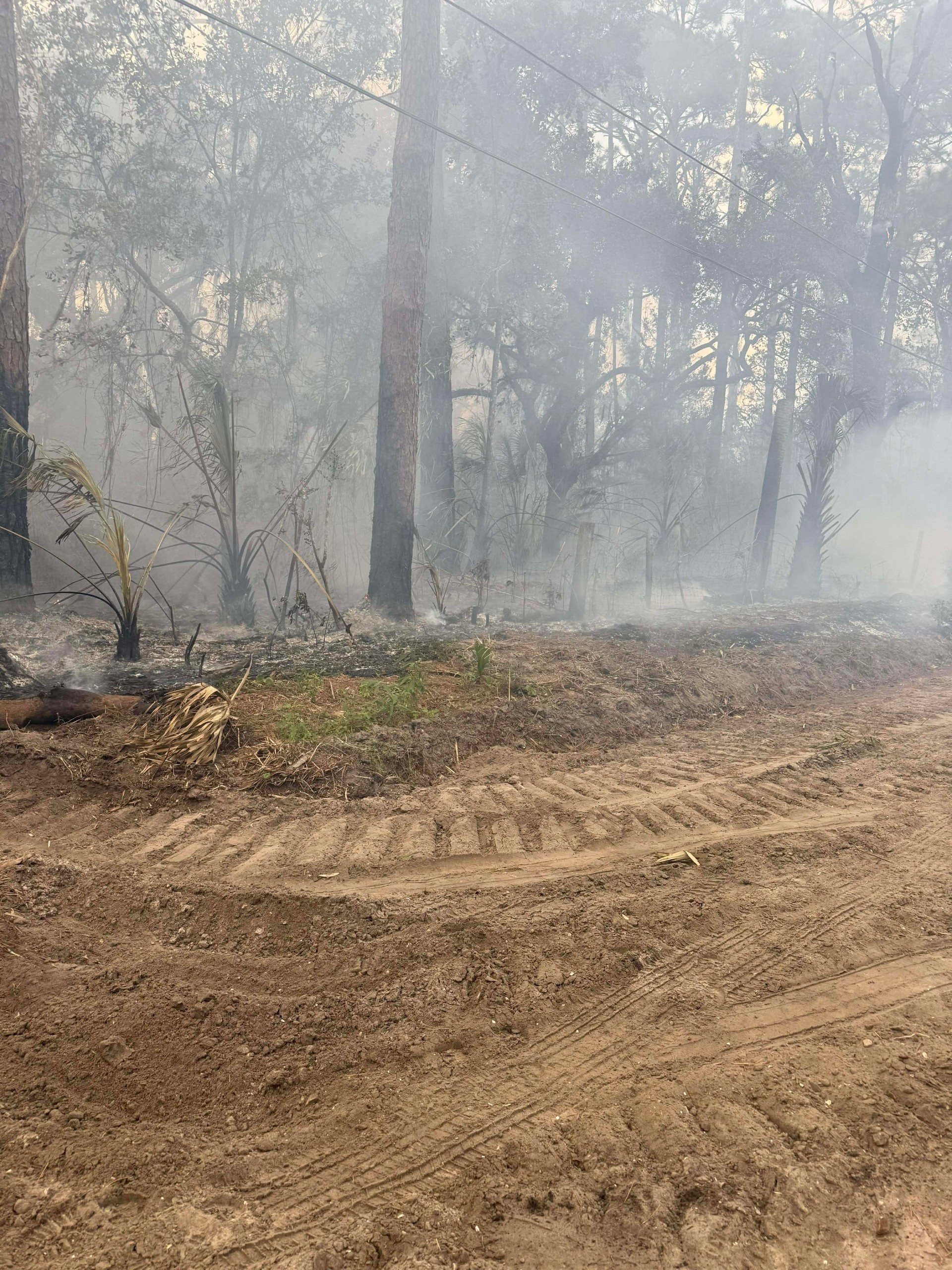 PANACEA FIRE PIC.jpg