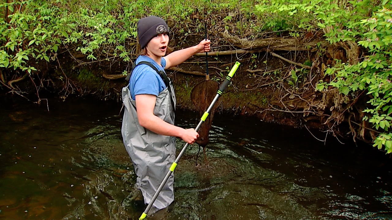Picking up trash.jpg