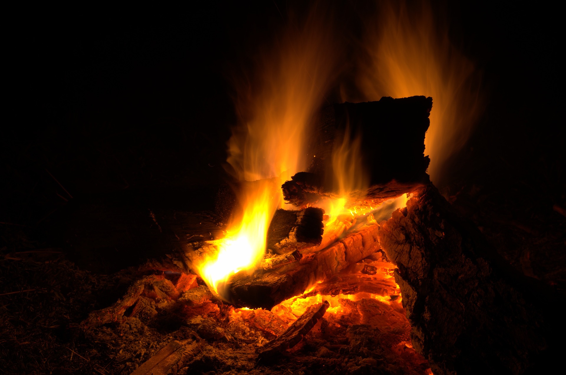fire pit burn fire wood burning coals
