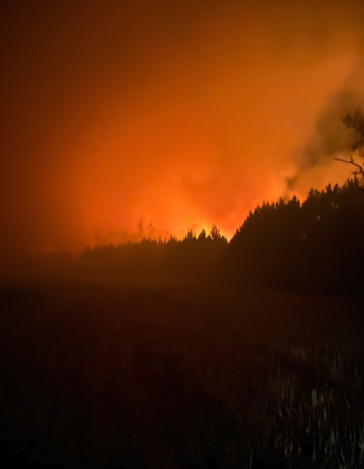 Screenshot 2026-04-17 at 9.27.03 AM.png