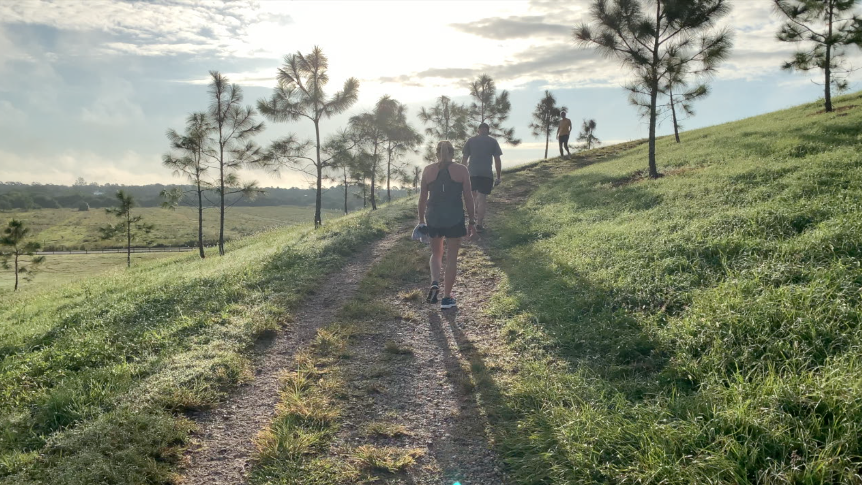 Walking Club 101