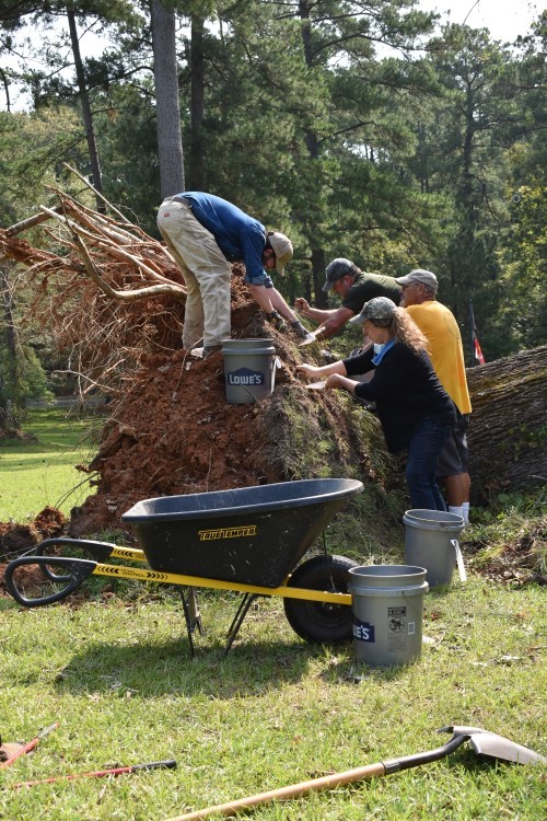 Los_Adaes_Treefall_excavation (1).jpg