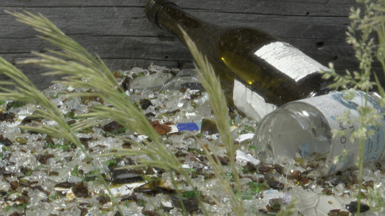 Salute Glass Recycling Screen Shot 2022-06-24 at 2.37.41 PM.png