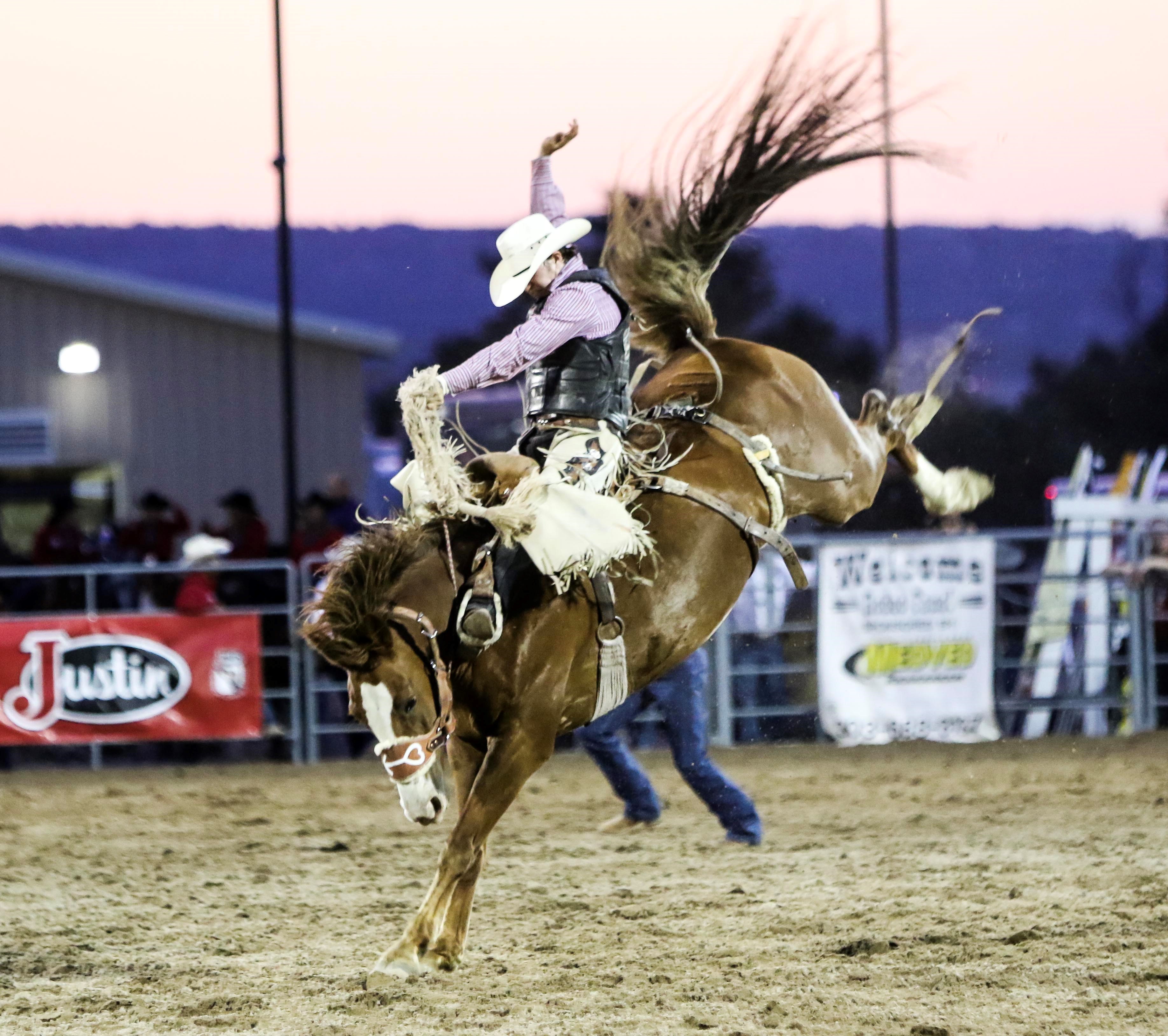 Chase Brooks Douglas County Rodeo