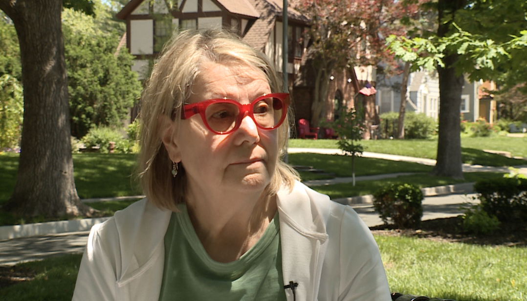 Marsha Lerenberg, Brookside voter