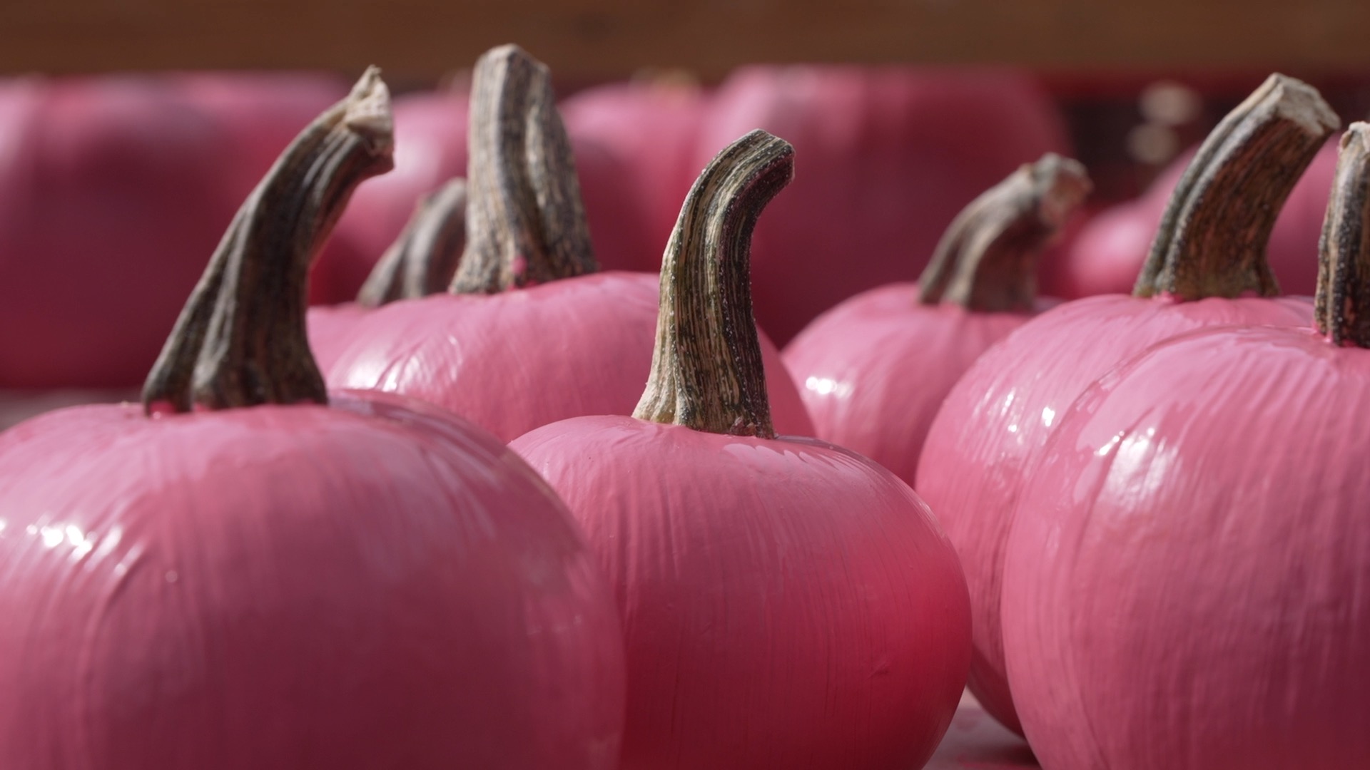 Pinkn' Patch