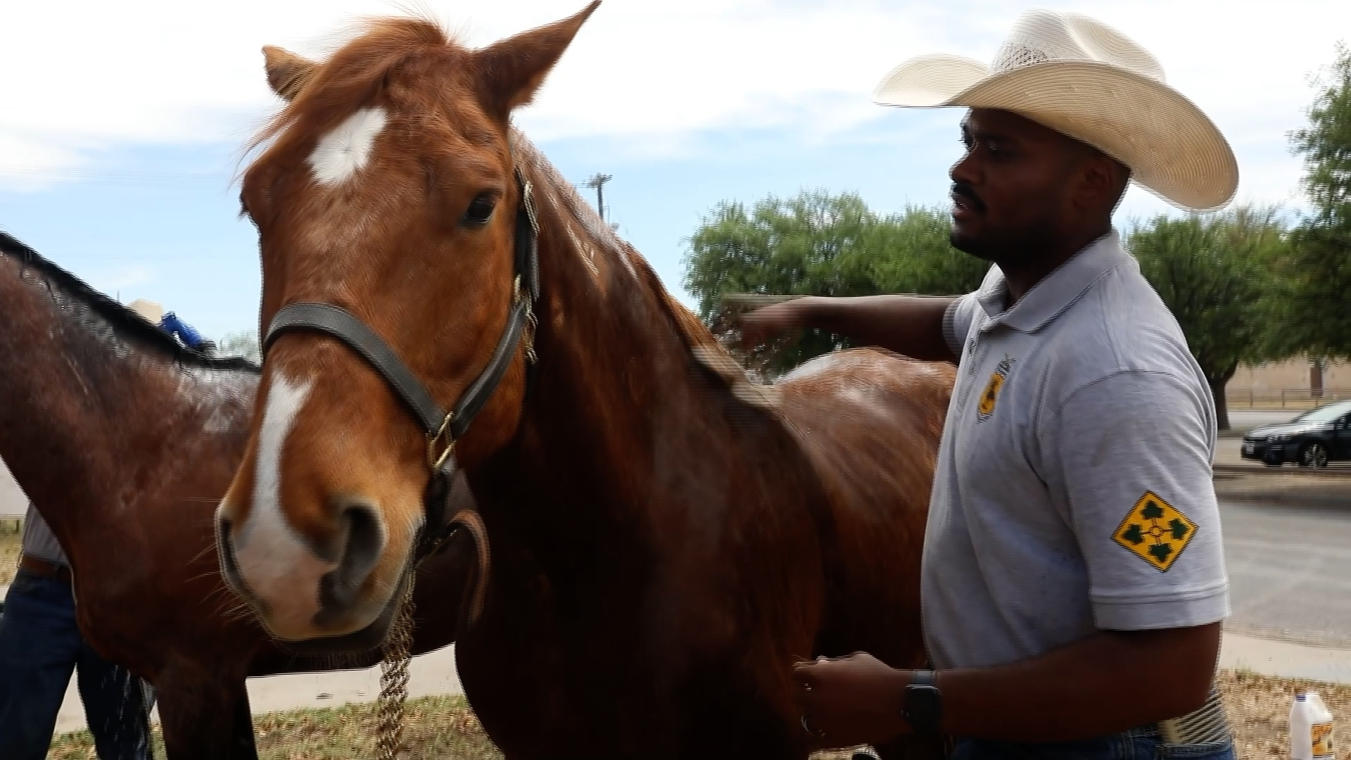 Mounted Color Gaurd